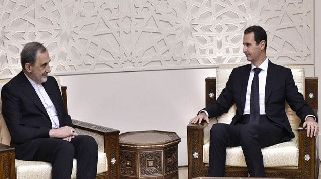 ما هكذا تورد الإبل.. وما هكذا نقابل الوفاء