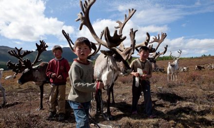 الثروة الحيوانية في منغوليا: بين تهديدات المناخ والأطماع الدولية