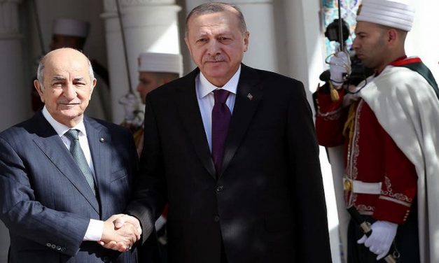 تزايد النشاط التركي في إفريقيا بعد تراجعه في سوريا