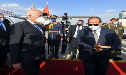 زيارة الرئيس التونسي إلى مصر: الأهداف والنتائج