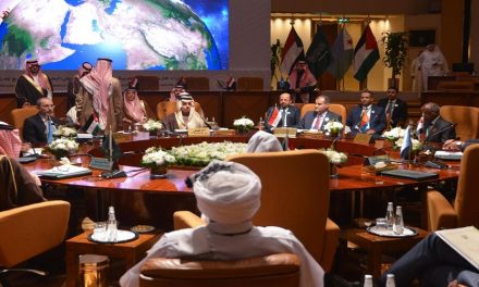 آفاق التعاون العربي – الإفريقي لحماية أمن البحر الأحمر وخليج عدن