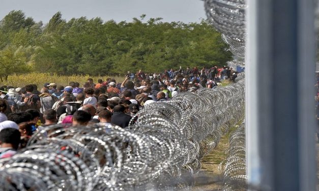 الحل الأوروبي والحل الحقيقي لقضايا الهجرة غير القانونية